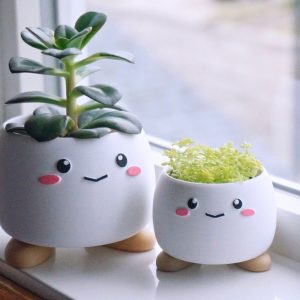 Cây Xanh Trang Trí